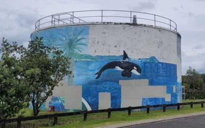 Whāingaroa Raglan Water Tower Public Art Mural Restoration
