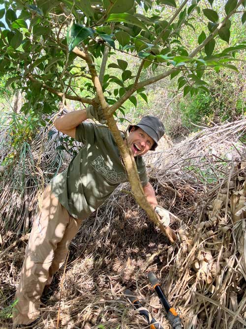 kaitoke weedbusters B