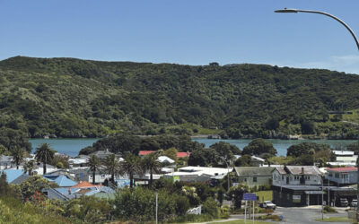 Street survey hones in on tourism